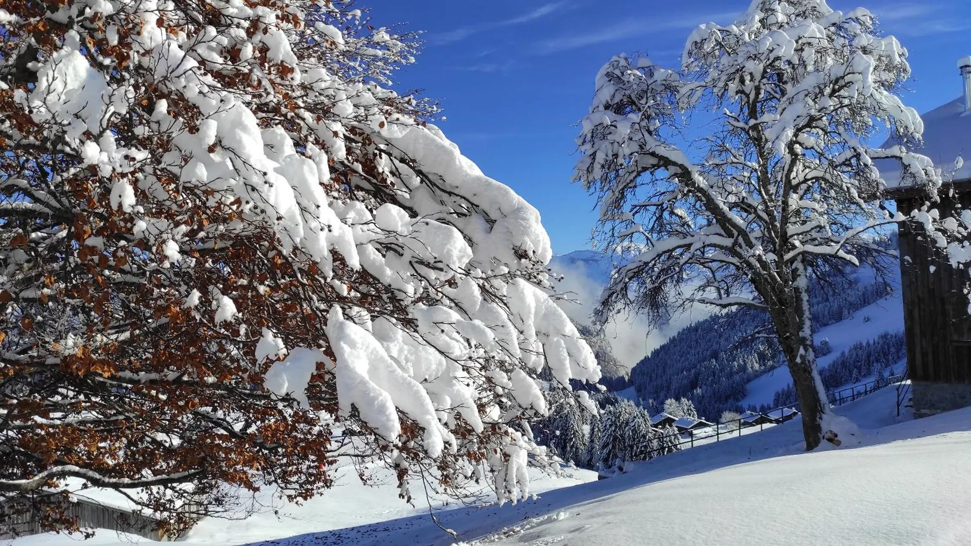 Σαλέ L'Echappee Belle En Montagne - Site Location-Chalet Mieussy