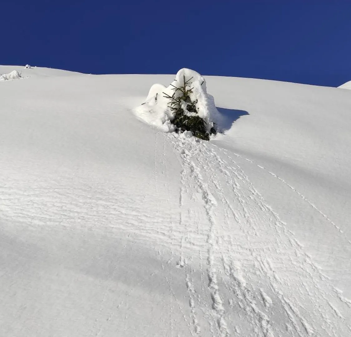 L'Echappee Belle En Montagne - Site Location-Chalet Mieussy